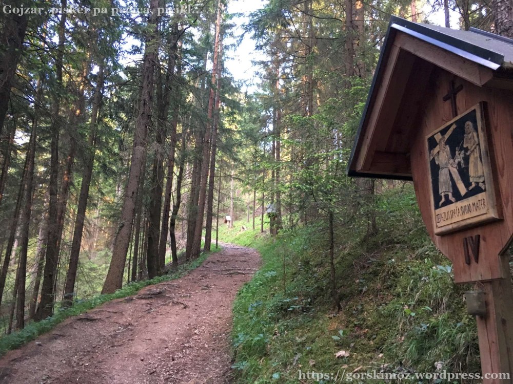 20170525_175545717_iOS-2048