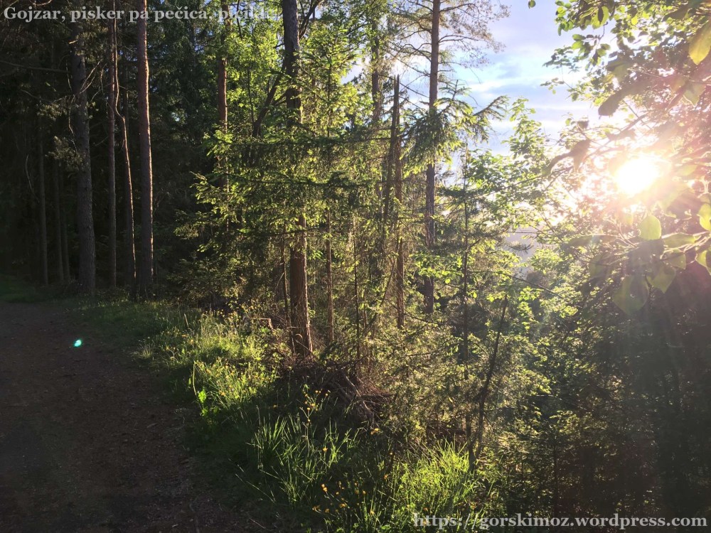 20170525_180103183_iOS-2048