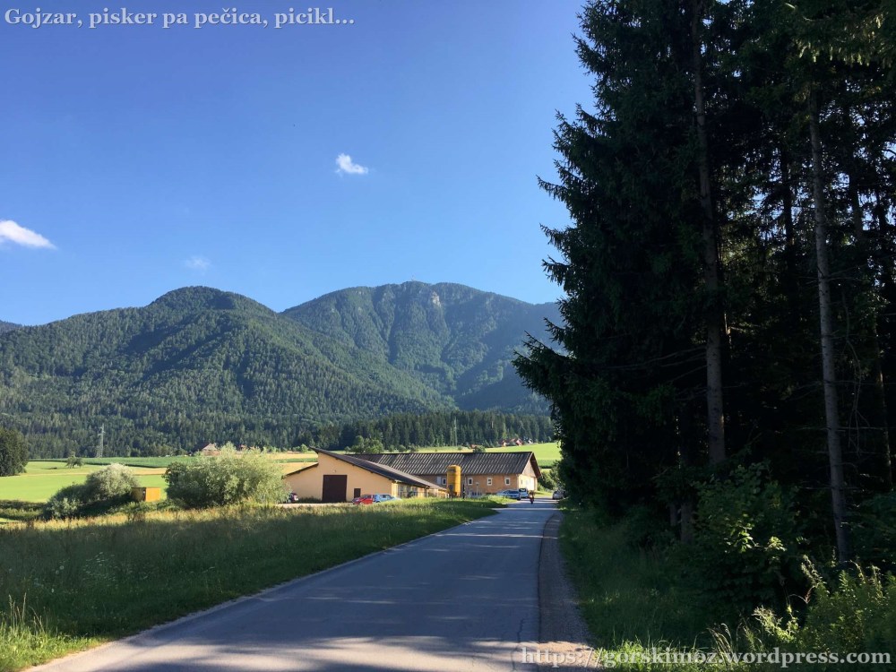 20170712_160430806_iOS-2048