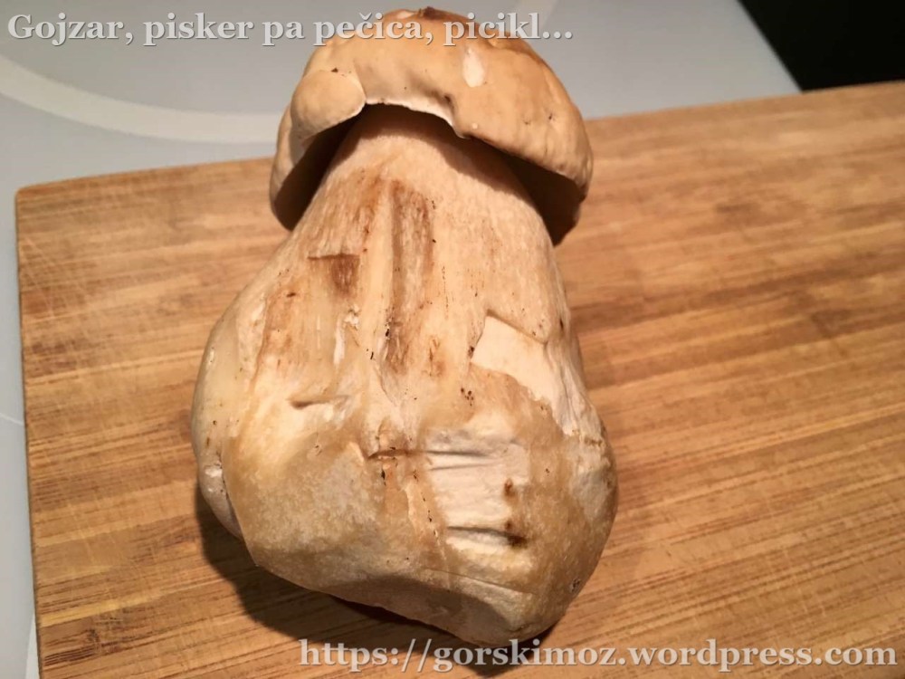 narastek-z-jurcki (1)