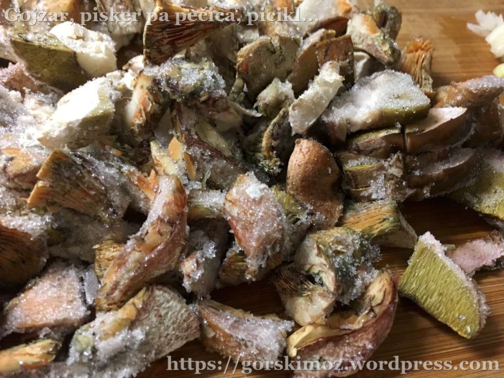 zrezki-v-gobovi-omaki (02)