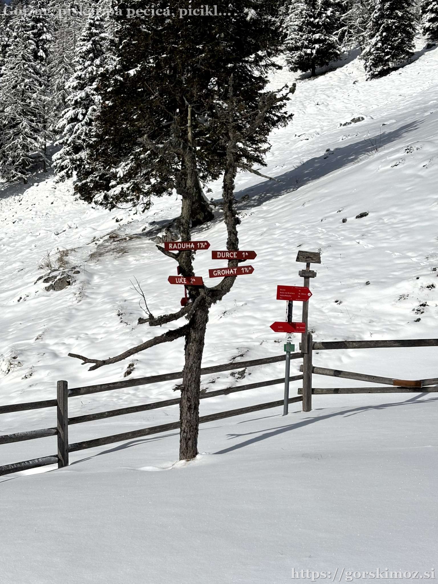 Smerokazi pred kočo.