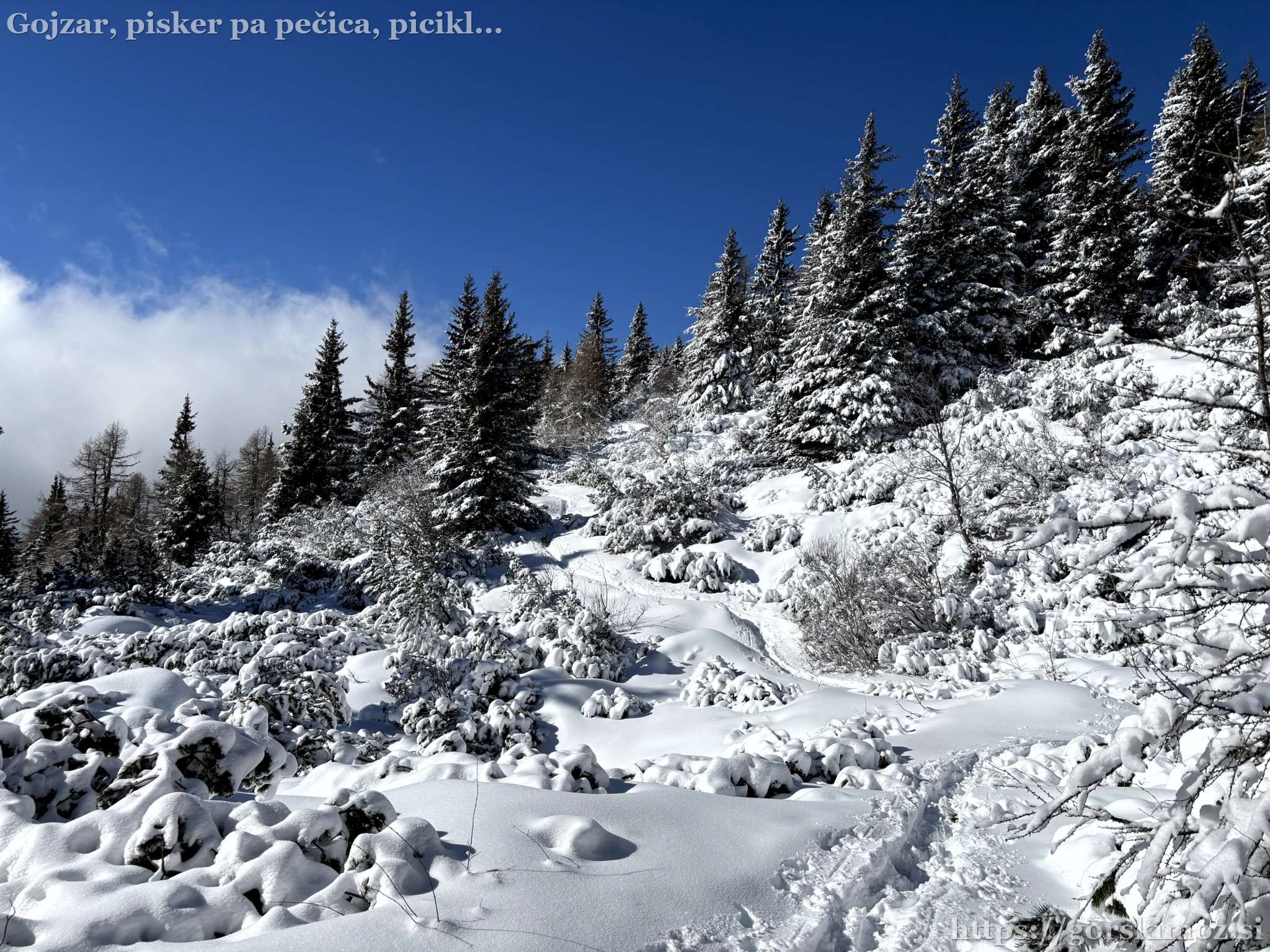 Pot se malo položi. Z Vinkom obstojiva in gledava beg zajca pred kuno.