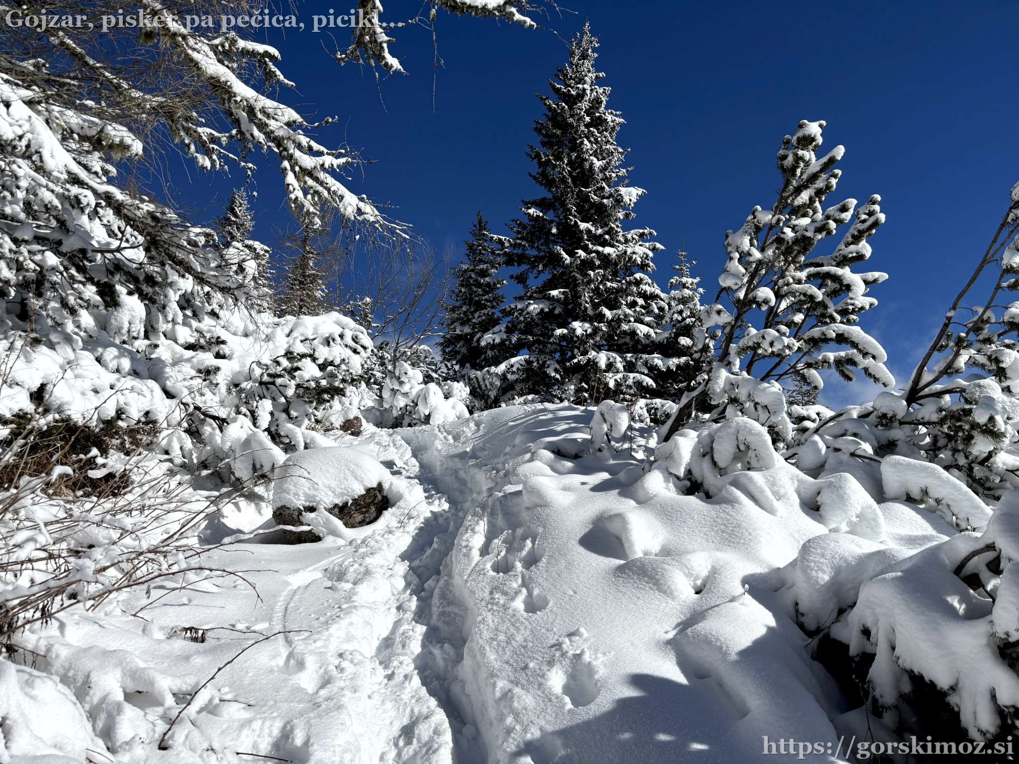 Pot postane bolj strma.