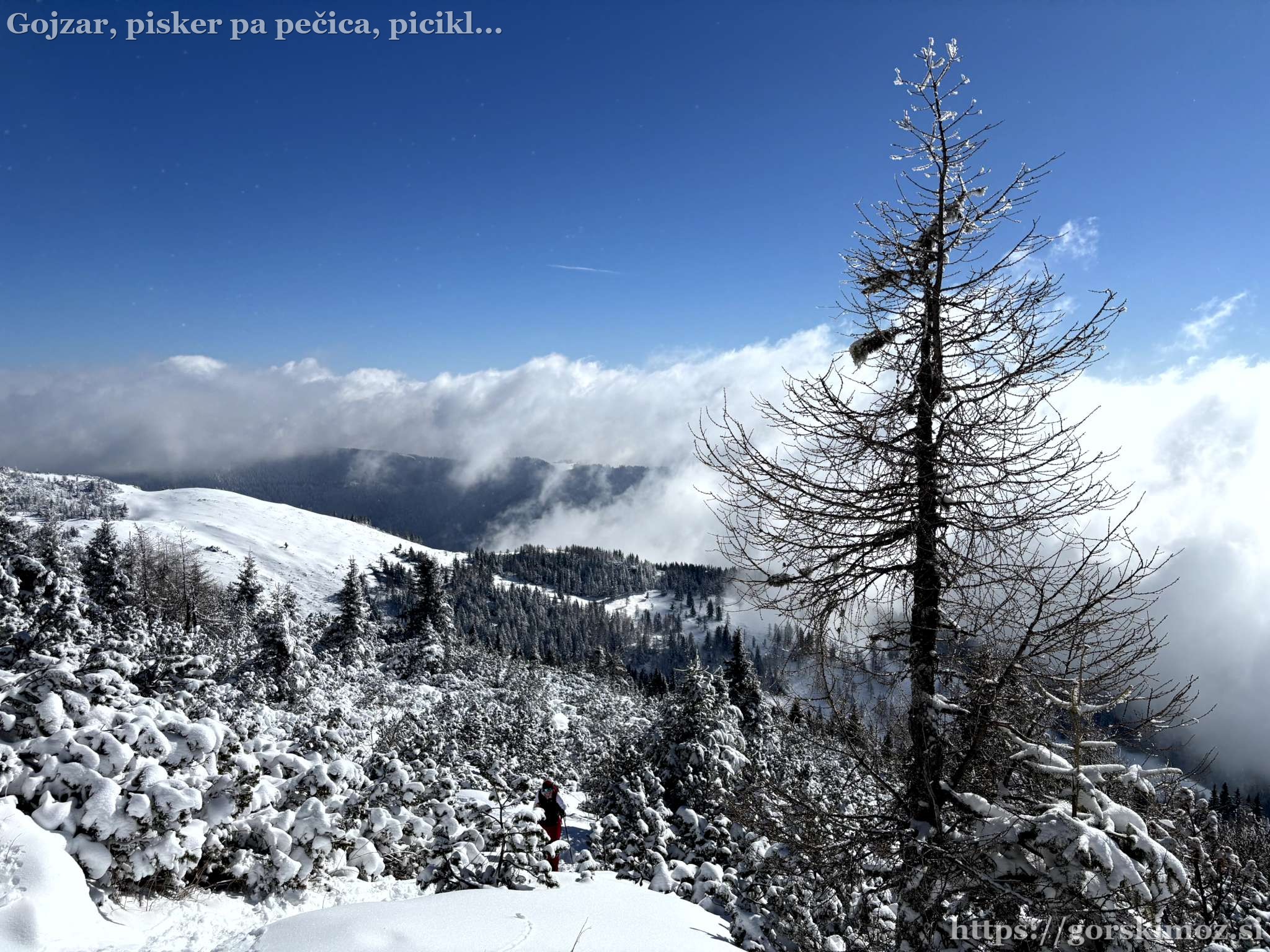Pogled nazaj proti Loki.
