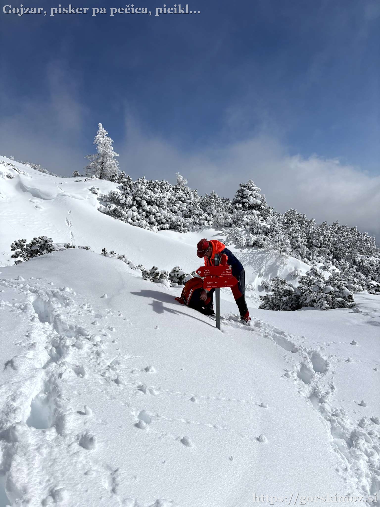 Smerokazi na razpotju.